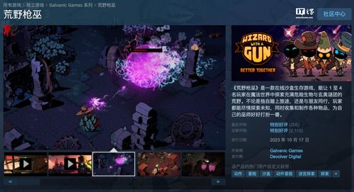 銷量慘淡致團隊解散 《荒野槍巫》開發(fā)商Galvanic Games宣布關閉